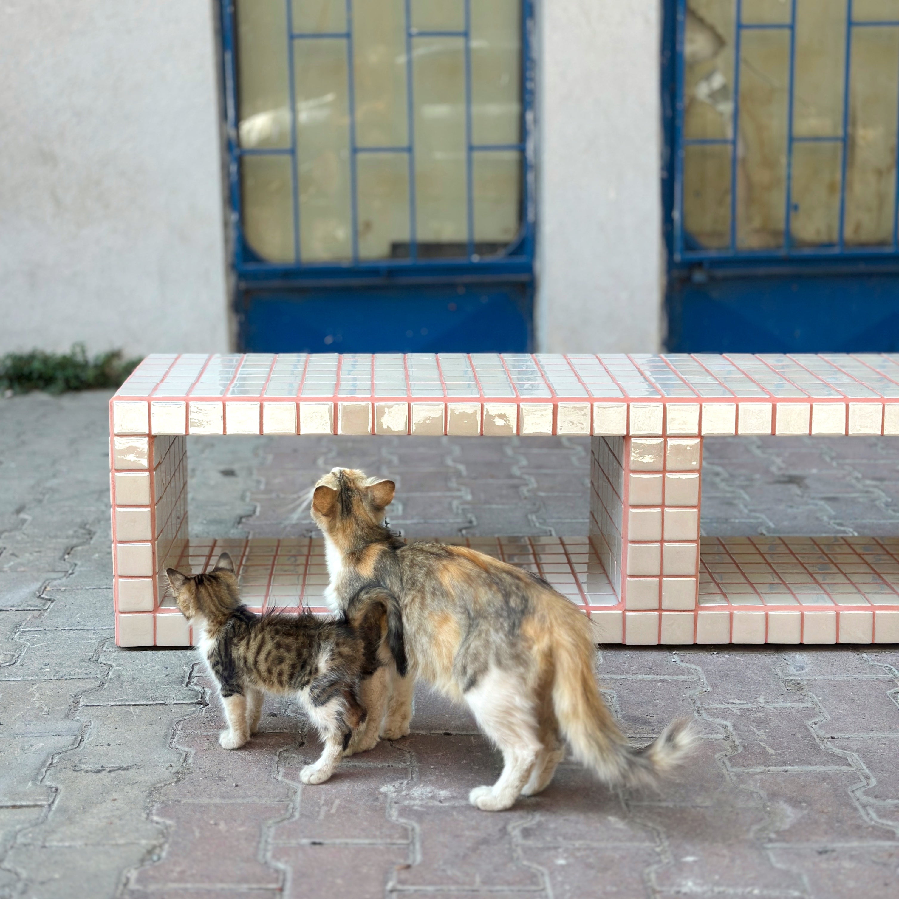 Fun Çift Bölmeli Tv Ünitesi